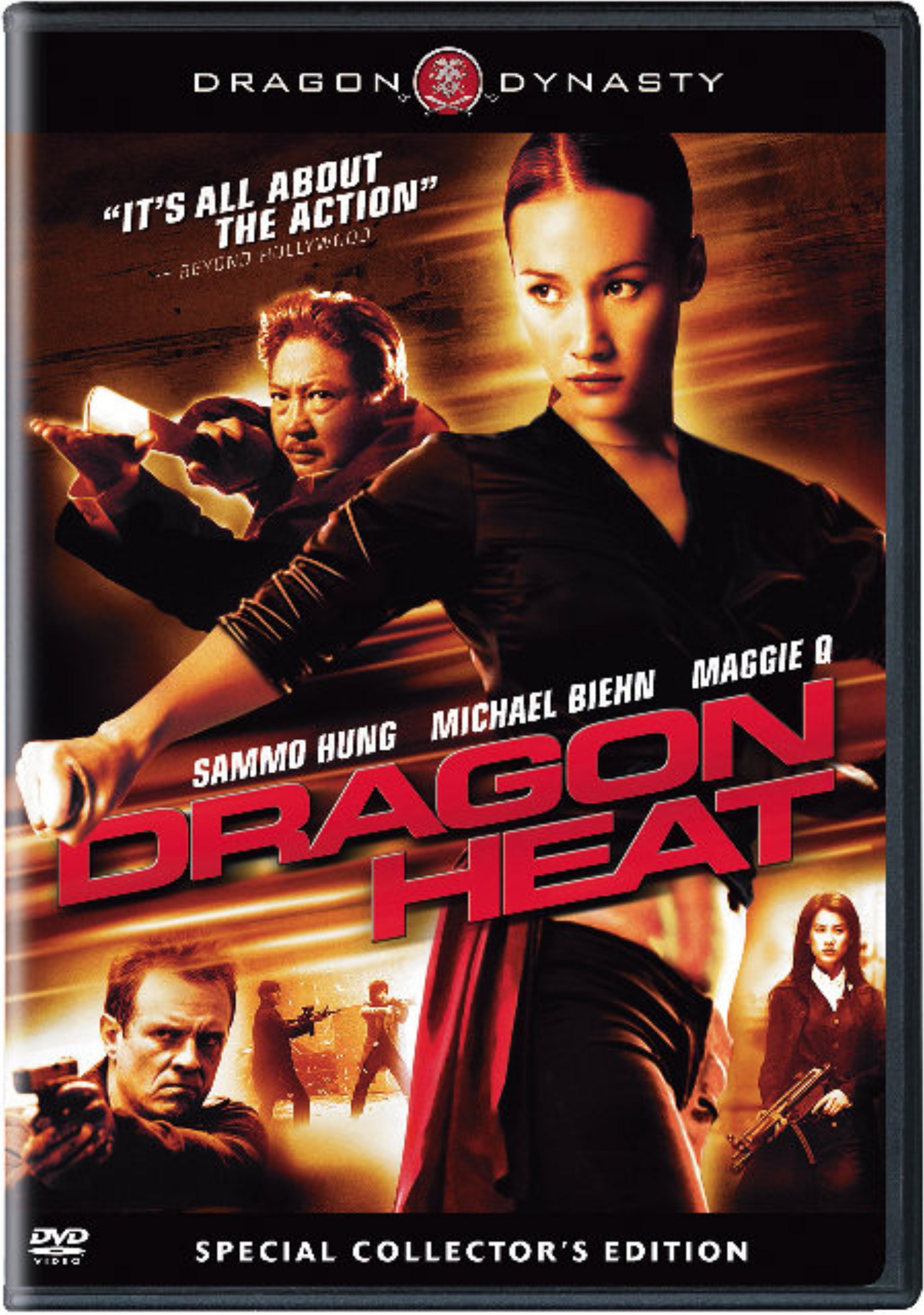 Dragon Squad (2005) movie poster download