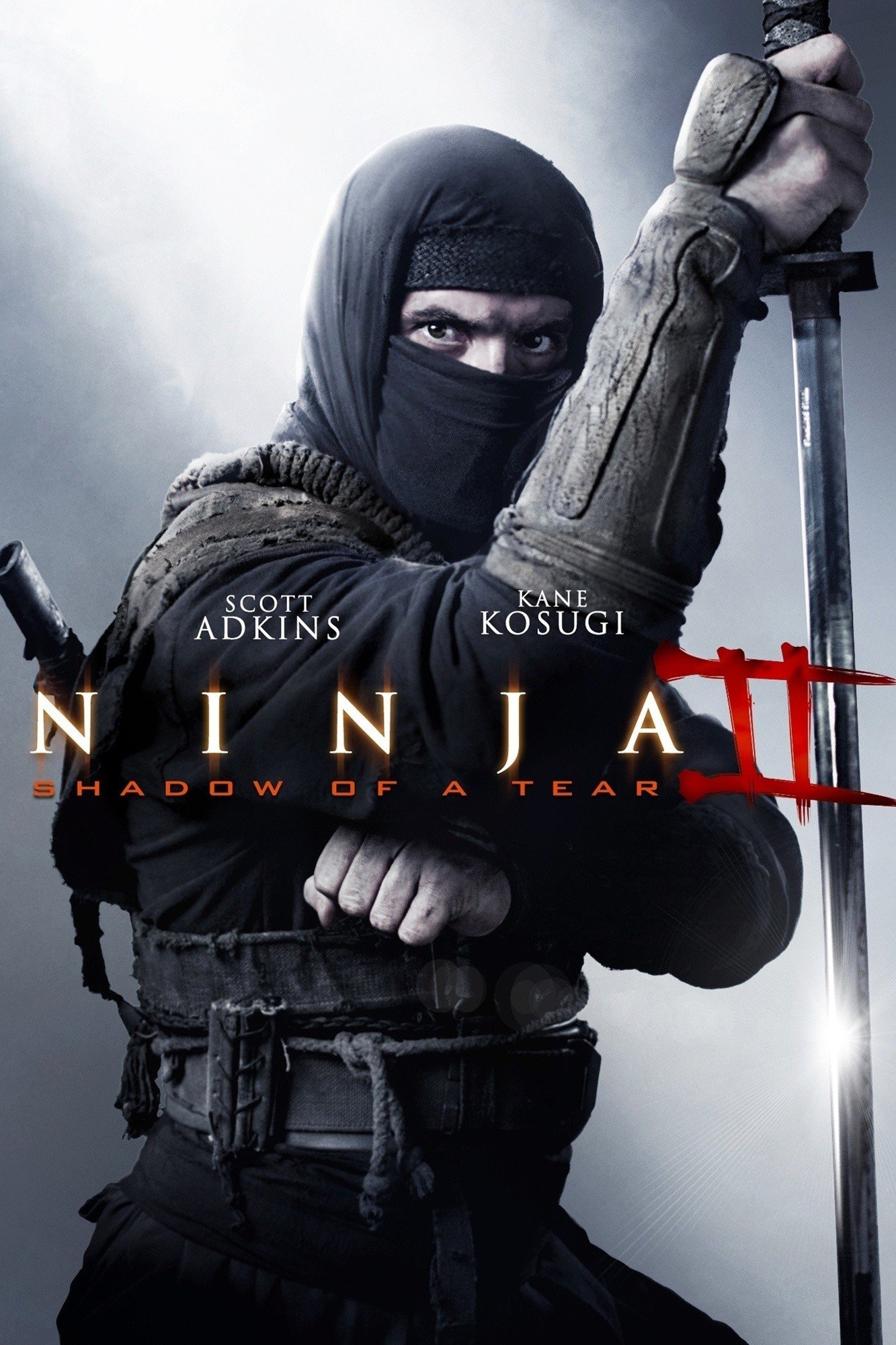 Ninja Shadow of a Tear (2013) movie poster download